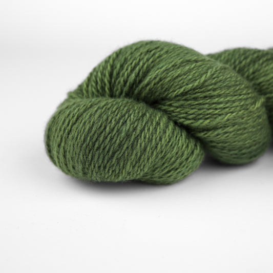 Patagonian Merino Sport Color 174