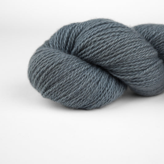 Patagonian Merino Sport Color 310