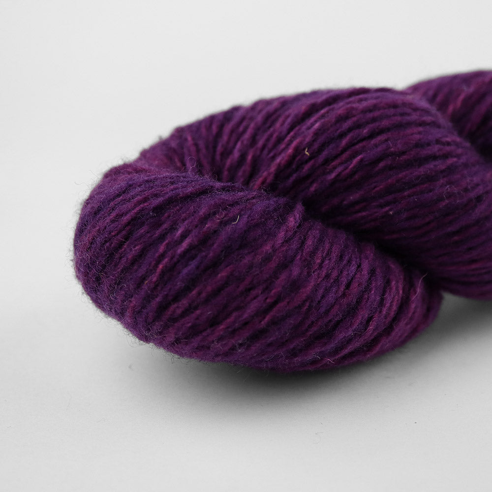 Patagonian Merino Worsted Color 6