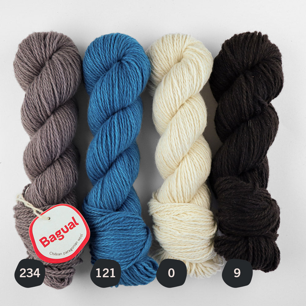 Patagonian Merino Worsted Color 9