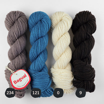 Patagonian Merino Worsted Color 9