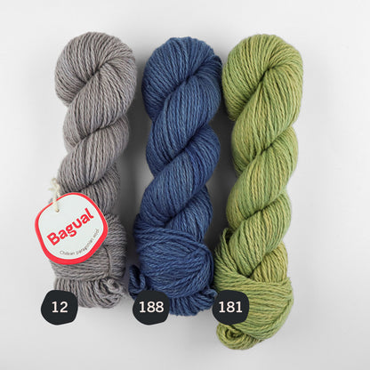 Patagonian Merino Worsted Color 12