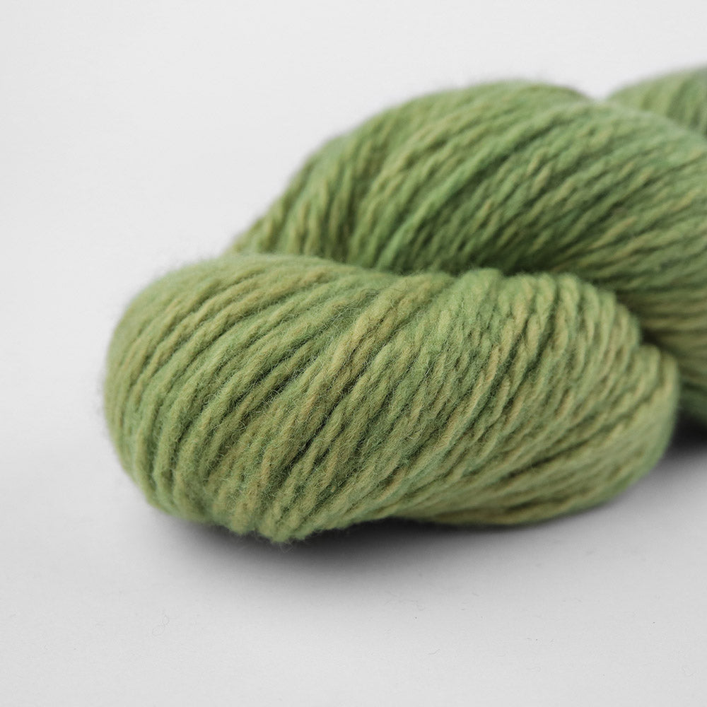 Patagonian Merino Worsted Color 181