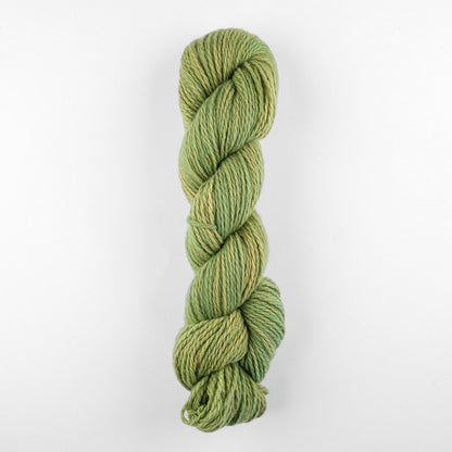 Patagonian Merino Worsted Color 181