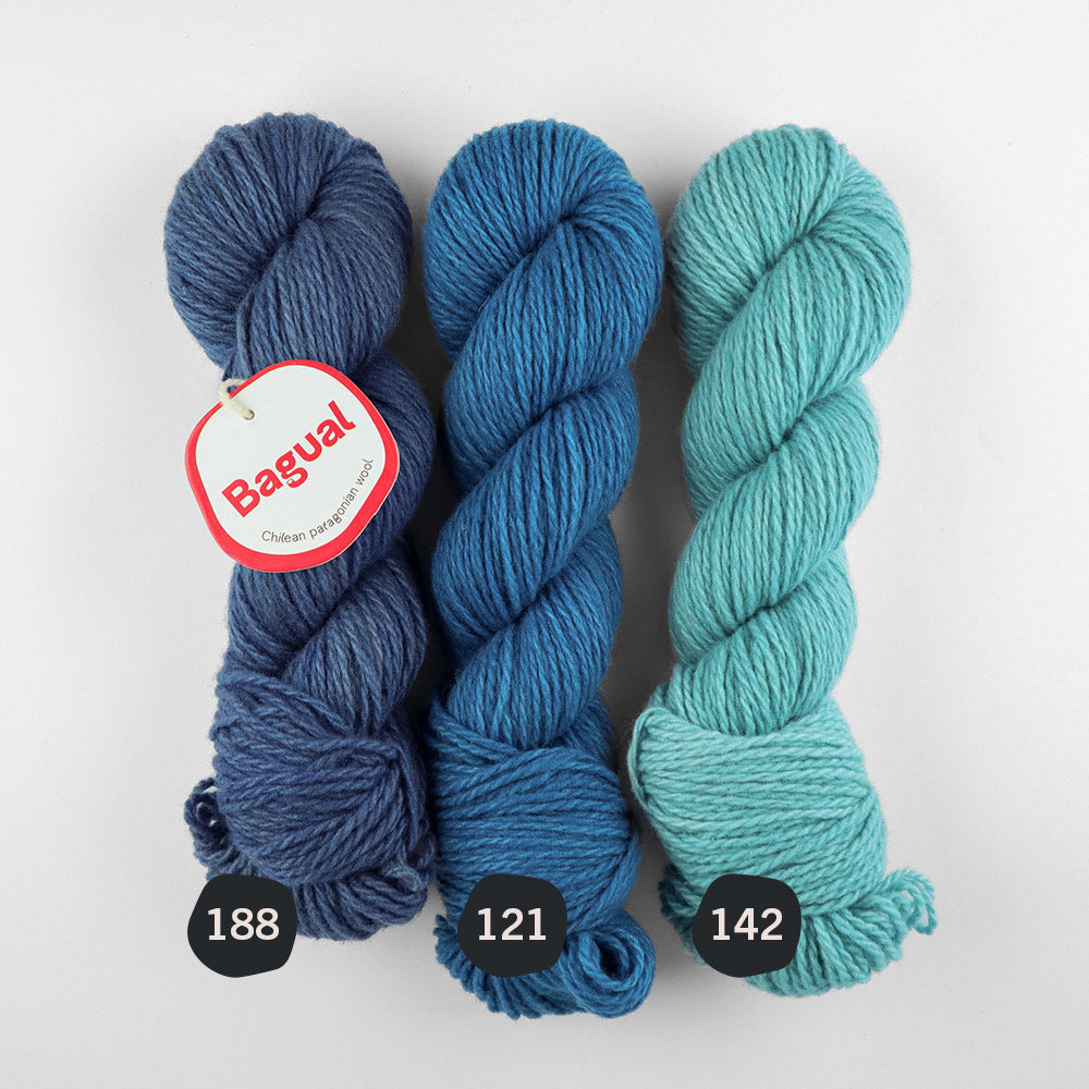 Patagonian Merino Worsted Color 188
