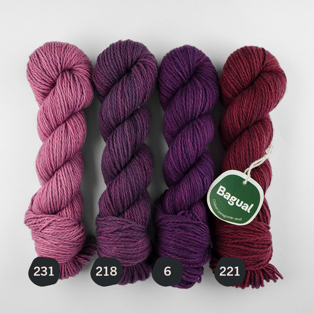 Patagonian Merino Worsted Color 221