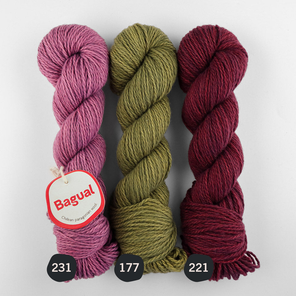 Patagonian Merino Worsted Color 221