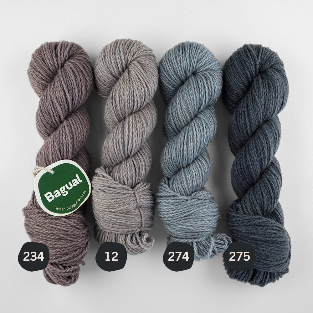 Patagonian Merino Worsted Color 234