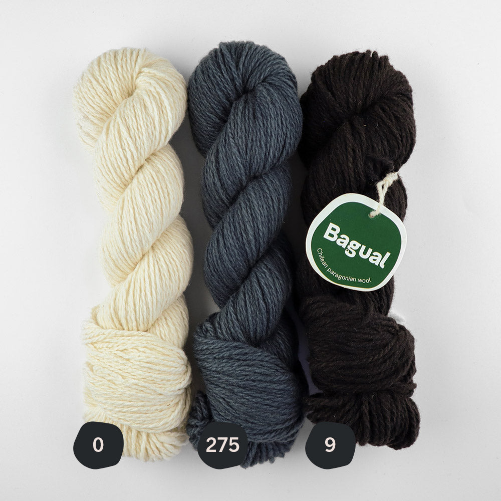 Patagonian Merino Worsted Color 275